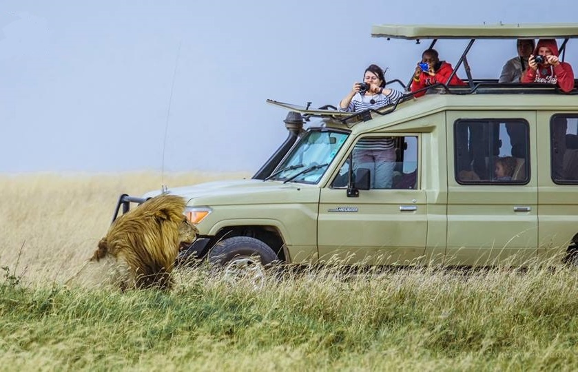Tanzania Safari