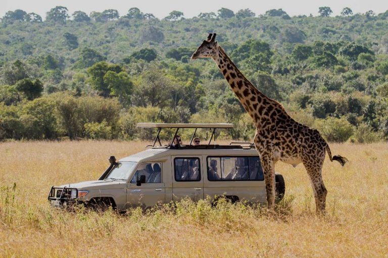 tanzania-safari-tours-banner-1